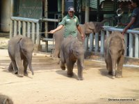 srilanka-experience.de