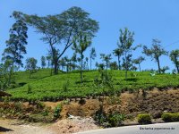 srilanka-experience.de