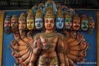srilanka-experience.de