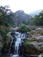 srilanka-experience.de