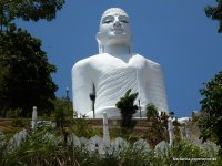 srilanka-experience.de