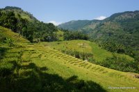 srilanka-experience.de