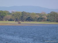srilanka-experience.de