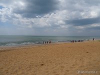 srilanka-experience.de