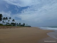 srilanka-experience.de