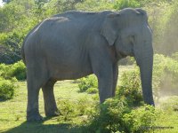 srilanka-experience.de