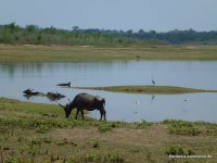 srilanka-experience.de