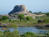 srilanka-experience.de