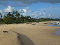 srilanka-experience.de