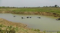 srilanka-experience.de