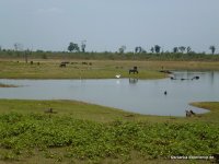 srilanka-experience.de