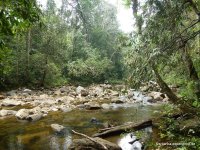 srilanka-experience.de