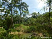 srilanka-experience.de