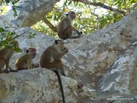 srilanka-experience.de