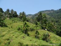 srilanka-experience.de
