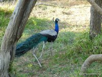 srilanka-experience.de
