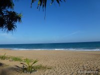 srilanka-experience.de