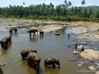 srilanka-experience.de