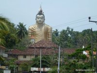 srilanka-experience.de