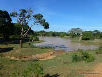 srilanka-experience.de