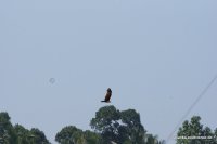 srilanka-experience.de