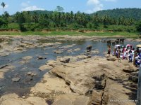 srilanka-experience.de