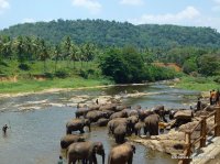 srilanka-experience.de