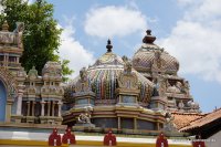 srilanka-experience.de