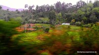 srilanka-experience.de