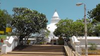 srilanka-experience.de