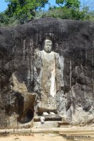 srilanka-experience.de