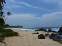 srilanka-experience.de