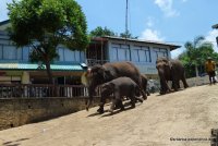 srilanka-experience.de