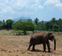 srilanka-experience.de