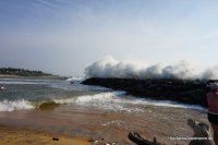 srilanka-experience.de