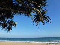 srilanka-experience.de