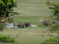 srilanka-experience.de