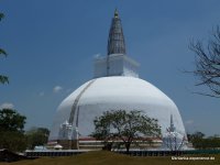 srilanka-experience.de