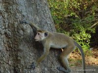 srilanka-experience.de