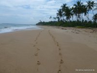 srilanka-experience.de
