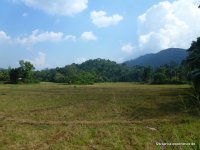 srilanka-experience.de