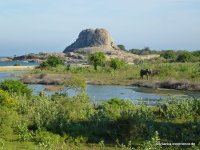 srilanka-experience.de