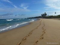 srilanka-experience.de
