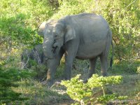 srilanka-experience.de