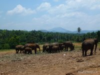 srilanka-experience.de