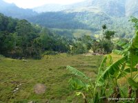 srilanka-experience.de
