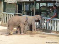 srilanka-experience.de
