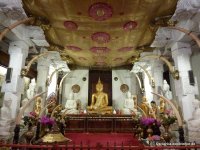 srilanka-experience.de