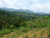 srilanka-experience.de