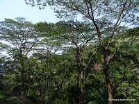 srilanka-experience.de